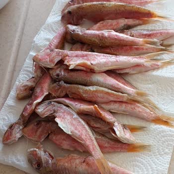 Balıkta Normal Olmayan Koku Ve Firmadan Yanıt Almama