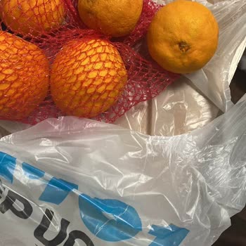 Ezik Ve Bayat Portakallar Teslim Edildi