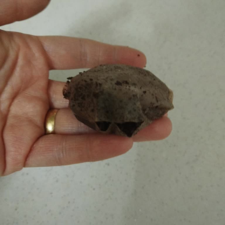 Lipton Poşet Çay Yırtılıyor, Değişim İstiyorum