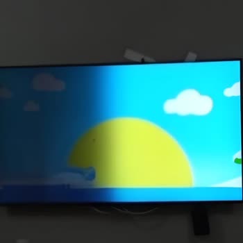 Garanti Sonrası Panel Arızası Ve 22 Bin TL Ücret Talebi