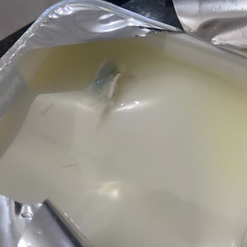 Peynir Kapağında Görülen Yemyeşil Yabancı Parça Hijyen Endişesi