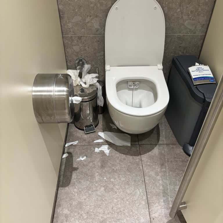 Maltepe Piazza’da Kirli Tuvalet Ve Eksik Peçete