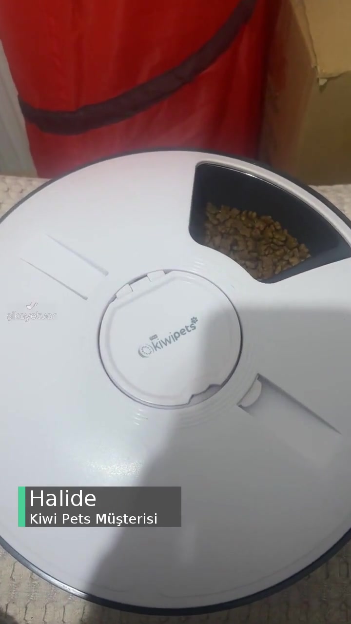 Kiwi Pets Mama Kabı videonun kapak resmi