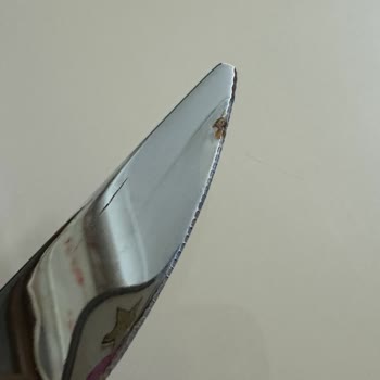 Hisar Sofra Sanatı Ömür Boyu Garantili Çatal Bıçak Seti Tekrar Paslanıyor