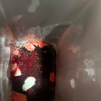 Meyöz Meyve Suyu İçinde Küf Ve Mantar, Sağlık Riski