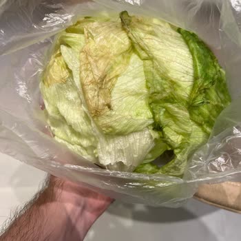 Migros'tan Bozuk Marul Teslim Edildi, Değişim Söz Verildi Ama Gerçekleşmedi!