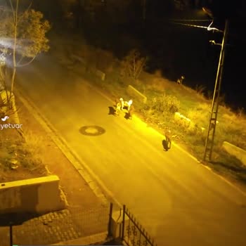 Çankaya Belediyesi Köpek Sorunu Her Yer Köpek!