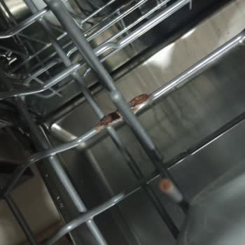 Arçelik Bulaşık Makinesi Sepeti Hızla Paslanıp Çürüdü: Ücretsiz Değişim Talebi