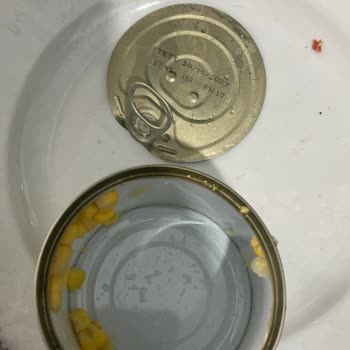 Tat Konserve Mısırda Kurt Benzeri Canlı Hijyen Sorunu
