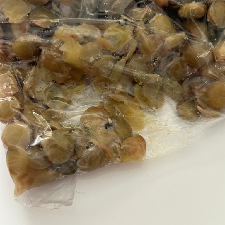 Duru Kırmızı Mercimek'te Böcek Tespiti Ve Sağlık Endişesi