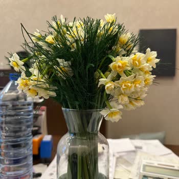 Hızlıçiçek'ten Çiçeklerin Solmuş Olması Ve İade Talebi