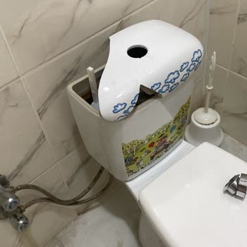 Turkuaz Seramik Çocuk Tuvaletimizin Üst Seramik Kapağı Bugün Kırıldı