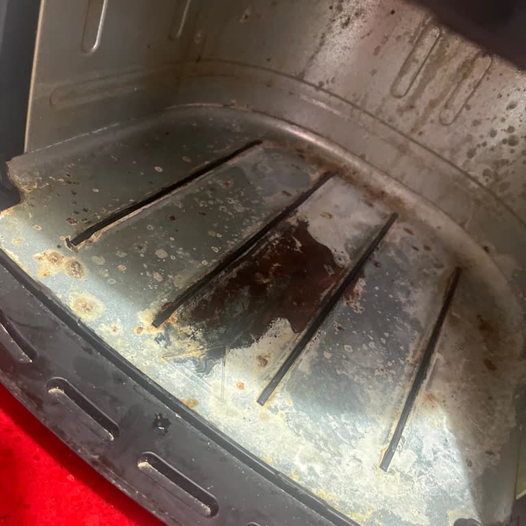 Philips XXL Airfryer Rezistansında Küf Sorunu Ve Çözüm Talebi