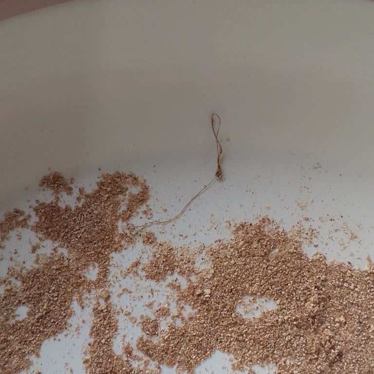 Kahve Paketi İçinde Yabancı Maddeler, Geçersiz Telefon Numarası Ve İade Talebi