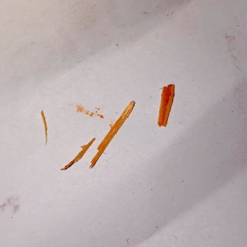 Burcu Gıda Acı Biber Salçasında Ahşap Parçalar Ve Sağlık Endişesi