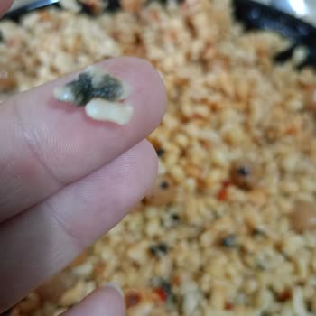 Yayla Bakliyat Bulgur Pilavı Bozuk Çıktı!