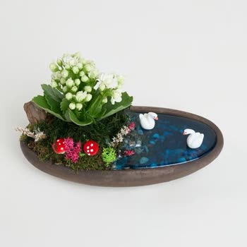 Mavi Su Ve Kuğu Görseliyle Uyuşmayan Ürün Nedeniyle İade Talebi