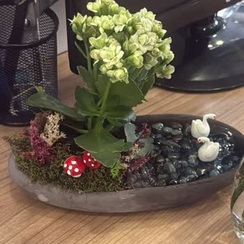 Mavi Su Ve Kuğu Görseliyle Uyuşmayan Ürün Nedeniyle İade Talebi