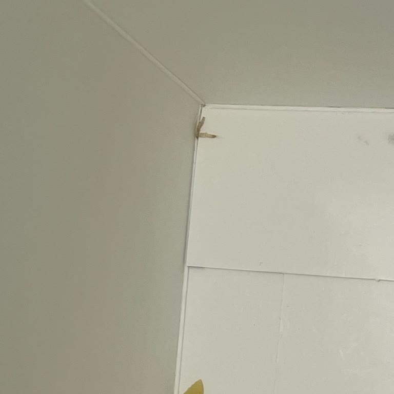 Червяки в Barilla Макаронах