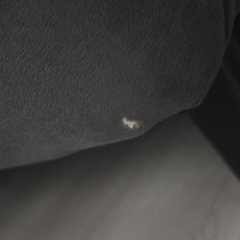 Enza Home’da Yırtık Kanepe, Çizik TV Sehpası Ve Renk Farklılığı İçin Çözüm Talebi