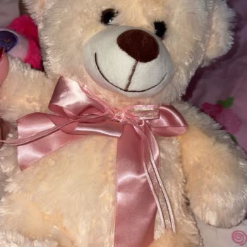 Toyzz Shop Peluş Oyuncakta Kısa Sürede Yırtılma Ve Müşteri Hizmetlerinin Yardım Eksikliği