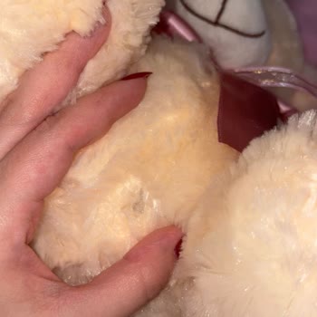 Toyzz Shop Peluş Oyuncakta Kısa Sürede Yırtılma Ve Müşteri Hizmetlerinin Yardım Eksikliği