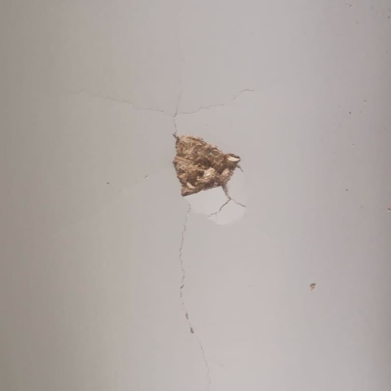 Kelebek Mobilya'dan Alınan E** Üçlü Koltukta Teslim Gecikmesi Ve Kalite Sorunları