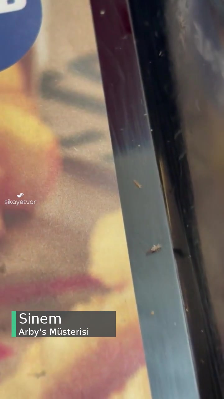 Arby's Patatesten Böcek Çıktı videonun kapak resmi