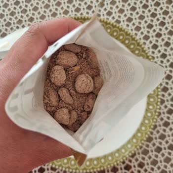 Şok Market'ten Alınan Nestle Damat Draje Ürünün Bozuk Çıkması