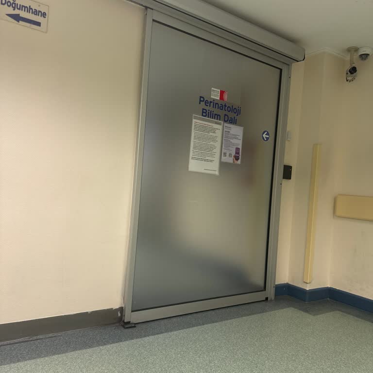 Hamile Hastaya Uzun Bekleme Süresi Ve Bilgi Eksikliği