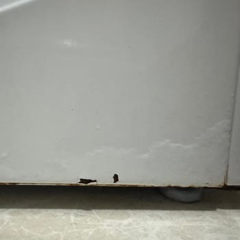 Bosch Çamaşır Makinesinde Tekrarlayan Çürüme Ve Aşırı Ücret Talebi