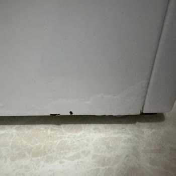 Bosch Çamaşır Makinesinde Tekrarlayan Çürüme Ve Aşırı Ücret Talebi