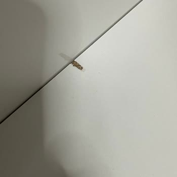İade Ödemesinin Gecikmesi Ve Müşteri Hizmetlerinden Yetersiz Yanıt