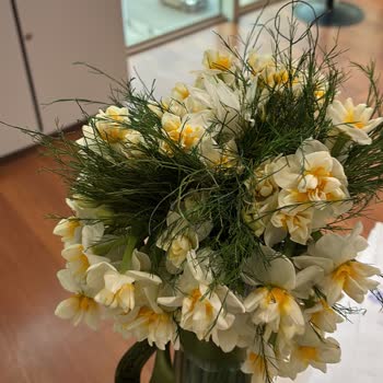 Teslimat Gecikmesi Ve Solmuş Çiçek Nedeniyle Doğum Günü Mağduriyeti