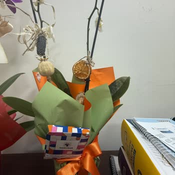 Taze Çiçek | Tazecicek.com Solmuş Çiçek Teslimatı Ve Cevapsız Müşteri Hizmeti!