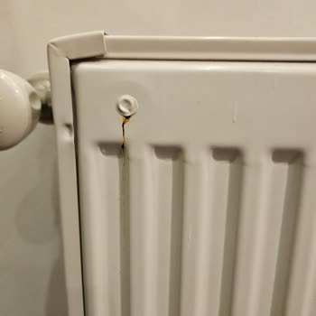 DemirDöküm Garanti Kapsamındaki Su Sızdıran Peteğe Servis Reddedildi Ve Basılı Fatura Şartı