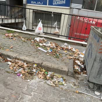 Mustafa Kemal Paşa Mahallesi'ndeki Sürekli Temizlik Sorunu