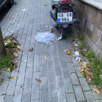 Mustafa Kemal Paşa Mahallesi'ndeki Sürekli Temizlik Sorunu