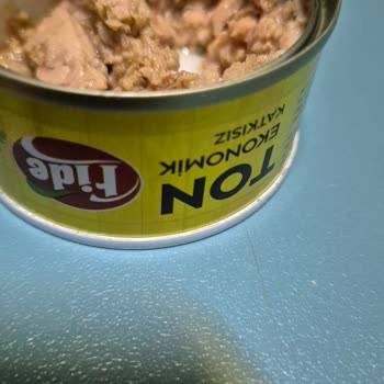 Ton Balığı Konservelerinde Kılçık Çıktı, Boğaza Takıldı