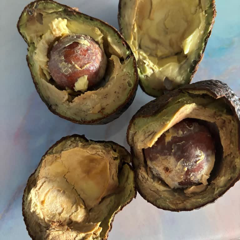 Migros Sanal Markette Bozuk Et Ve Çürük Avokado Ürünleri İçin İade Ve Özür Talebi