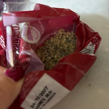 Filiz Makarna Kuskus Ürününde Küf Sorunu