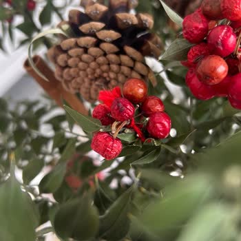 Kokina Ürün Açıklaması Yanıltıcı, Müşteri Hizmetinden Cevap Yok