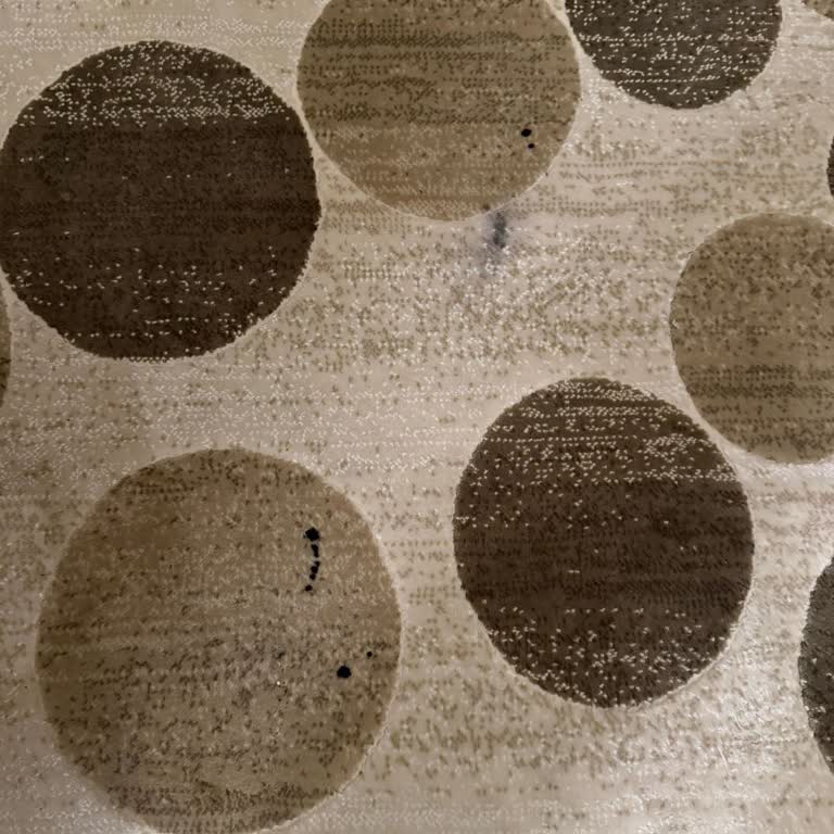 Canon G3410 Yazıcıda Mürekkep Sızdırması, Halı Zarar Ve Neredeyse Yeni Fiyatına Yakın Tamir Ücreti