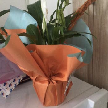 Stok Yok Deyerek Sipariş Geciktirildi Ve Solmuş Çiçek Gönderildi