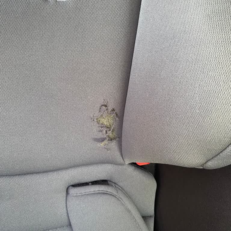 Kraft Oto Koltuğunda Hızlı Kumaş Aşınması Ve Garanti Reddiyle Hayal Kırıklığı