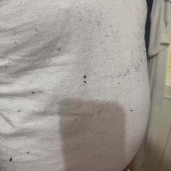 Wrangler Polar İç Astarı Kirli Ve Tüy Atıyor