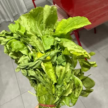 Çürük Ürünler Ve Canlı Destek Erişimi Sorunu