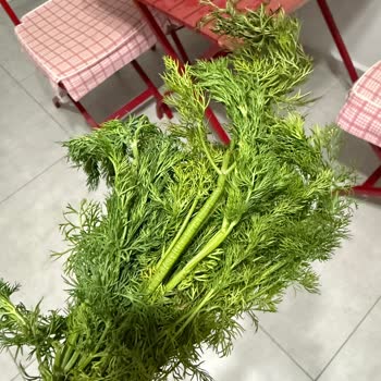 Çürük Ürünler Ve Canlı Destek Erişimi Sorunu