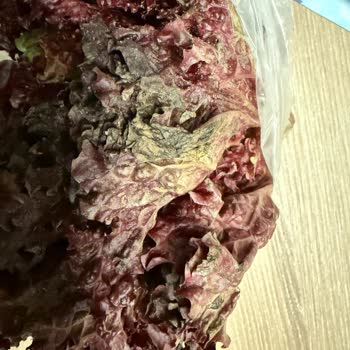 Çürük Ürünler Ve Canlı Destek Erişimi Sorunu