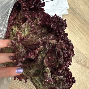 Çürük Ürünler Ve Canlı Destek Erişimi Sorunu